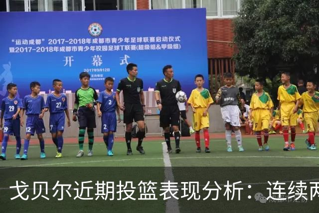 戈贝尔近期投篮表现分析：连续两场比赛未命中