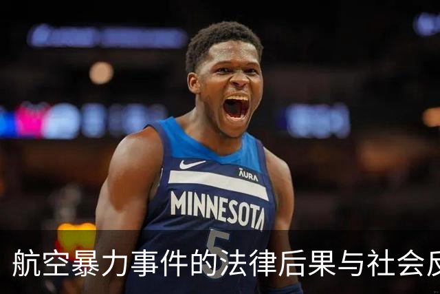 航空暴力事件的法律后果与社会反思